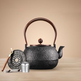 Color: Hiramaru - Iron Kettle Handmade Cast Iron Kettle Imported From Japan