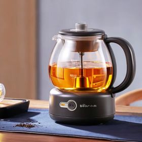 Tea Cooker Health Pot Mini Steam Spray Stainless Steel Electric Kettle