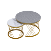 Modern Minimalist Nesting Coffee Table for Living Room - Wooden Top and Metal Legs