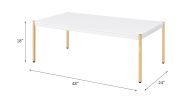 ACME Otrac Coffee Table in White & Gold Finish LV00034