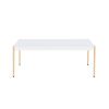 ACME Otrac Coffee Table in White & Gold Finish LV00034