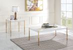 ACME Otrac Coffee Table in White & Gold Finish LV00034